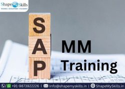 Career Growth with SAP MM Training in Noida at ShapeMySkills