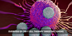 Targeting Solid Tumors With CAR-T Cells