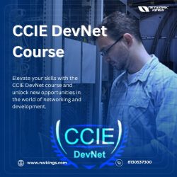 CCIE DevNet Course – Enroll now