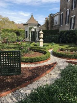 Botanical Delights: Charleston Gardens Tour