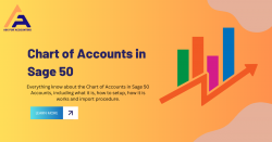 Sage 50 Chart of Accounts Codes