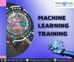 Comprehensive Machine Learning Course at ShapeMySkills