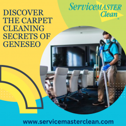 Discover the Carpet Cleaning Secrets of Geneseo