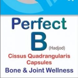 Perfect B | JOINT AND BONE WELLNESS