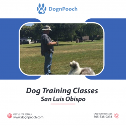Puppy Training San Luis Obispo