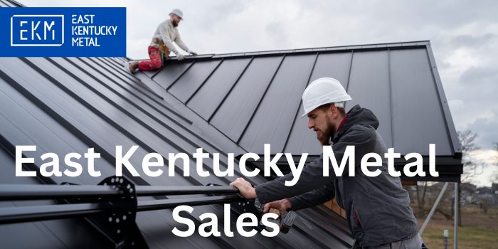 Enhance Curb Appeal with Stylish Metal Roofing from East Kentucky Metal Sales