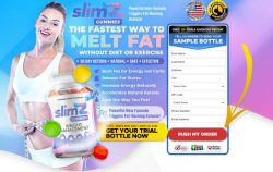 Slimz Gummies Audits, Pills, Fixings, and Cost | Weight Reduction Backing