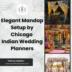 Elegant Mandap Setup by Chicago Indian Wedding Planners