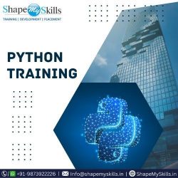 Elevate Your Career in Coding With Python Training at ShapeMySkills