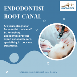 Endodontist Root Canal