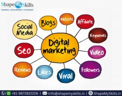 Enroll Now for Digital Marketing Training in Noida at ShapeMySkills