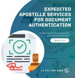 Expedited apostille services for document authentication