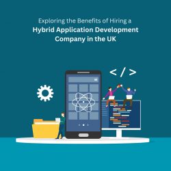 Exploring the Benefits of Hiring a Hybrid Application Development Company in the UK
