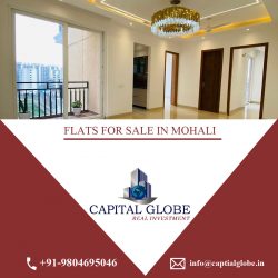 Flats For Sale In Mohali