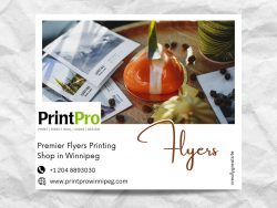 PrintPro: Your Source for Quick and Quality Winnipeg Flyers