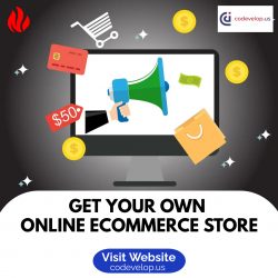 GET YOUR OWN ONLINE ECOMMERCE STORE