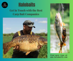 Halobaits – Get in Touch with the Best Carp Bait Companies