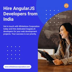 Hire Angularjs Programmers | Dedicated Angularjs Developers