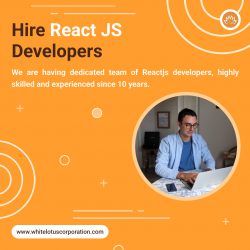 Hire Dedicated React Js Developer