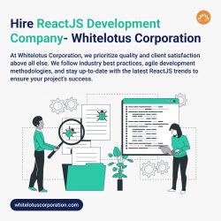 Hire Reactjs Development Company Newyork, USA