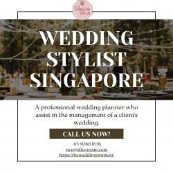 Hire The Professional Wedding Stylist in Singapore