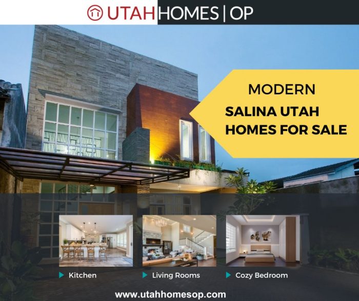 Salina Utah Homes For Sale – Utah Homes Op
