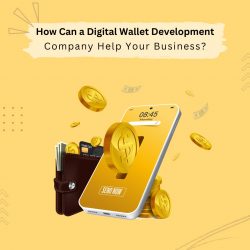 How Can a Digital Wallet Development Company Help Your Business?