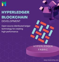 Hyperledger Blockchain Development Solutions