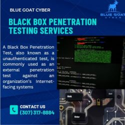 Get Help From Blue Goat Cyber For Black Box Penetration Testing Services
