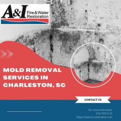 The Ultimate Guide to Mold Removal in Charleston SC: Expert Tips from A&I Fire and Water Res ...