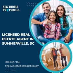 The Ultimate Guide to Finding the Perfect Licensed Real Estate Agent in Summerville, SC: Sea Tur ...
