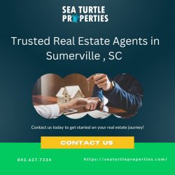 Discovering Summerville, SC Real Estate Excellence with Sea Turtle Properties – Your Trust ...