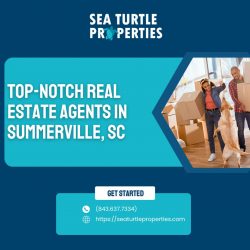 Sea Turtle Properties: Your Gateway to Top-Notch Real Estate in Summerville, SC