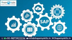 Join Our Best SAP Training at ShapeMySkills