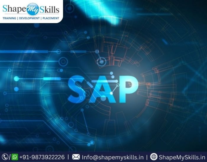 Join Our Expert Trainers for SAP Training in Noida at ShapeMySkills