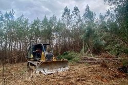 Land Clearing Hattiesburg MS: Making Space for Your Vision