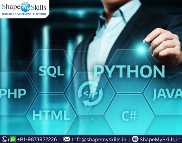 Learn Coding With Python Training in Noida at ShapeMySkills