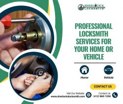 Professional Locksmith Services for Your Home, Business, or Vehicle
