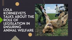 Lola Korneevets Talks About The Role Of Legislation In Ensuring Animal Welfare