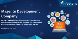 The Ultimate Guide to Choosing the Magento Development Company