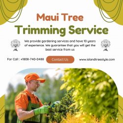 Hawaii Tree Trimming and Removal Company – Island Tree Style