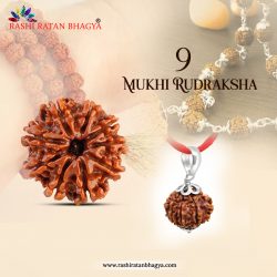 Shop 9 Mukhi Rudraksha Online From Rashi Ratan Bhagya at the Best Price.