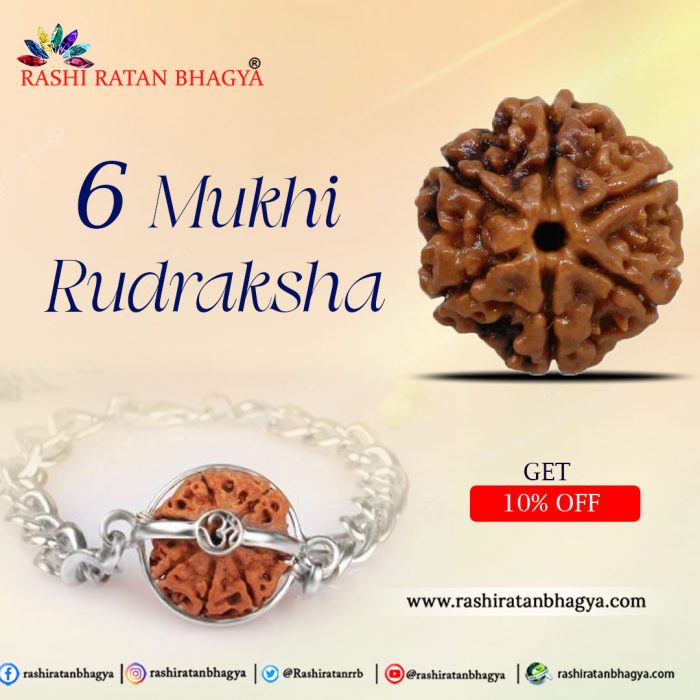 Get 10% Discount | 6 Mukhi Rudraksha Beads | Rashi Ratan Bhagya