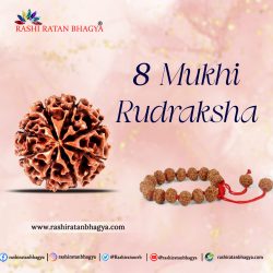 Buy 8 Mukhi Rudraksha Online at Rashi Ratan Bagya