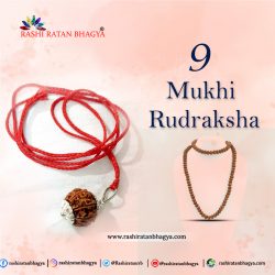 Buy Certified 9 Mukhi Rudraksha Online in India