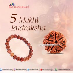 Buy 5 Mukhi Rudraksha Best price Online at Rashi Ratan Bagya