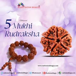 Buy Certified 5 Mukhi Rudraksha Online in India