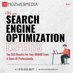 The Best SEO Company in Chicago | Moz Web Media