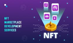 Get started with the best NFT Marketplace Development Services