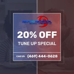 20% Off Tune Up Special